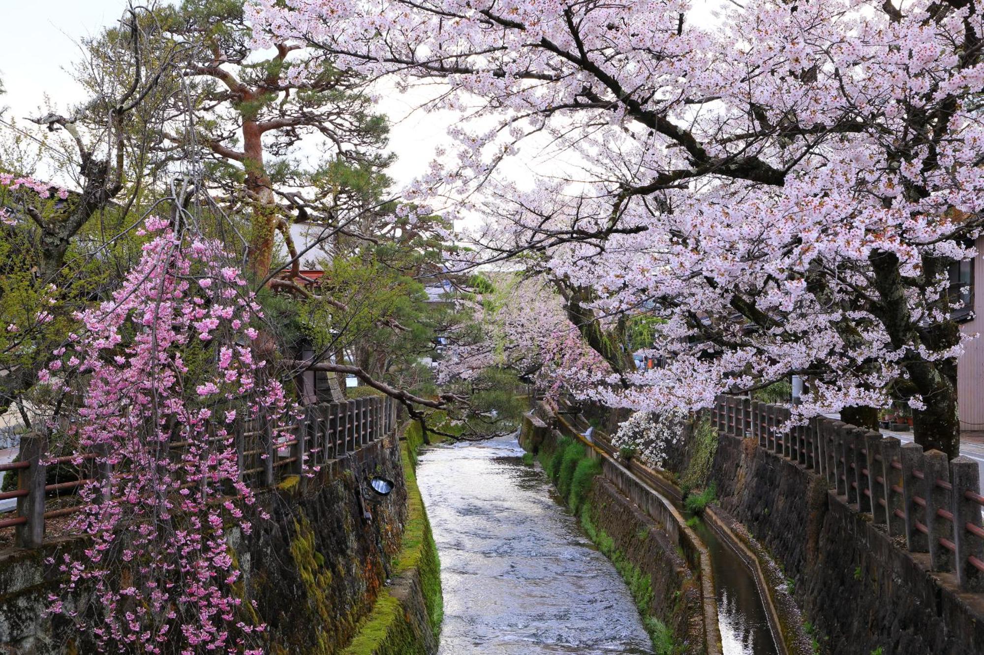 高山市Rikka Fukiyaアパートメント エクステリア 写真